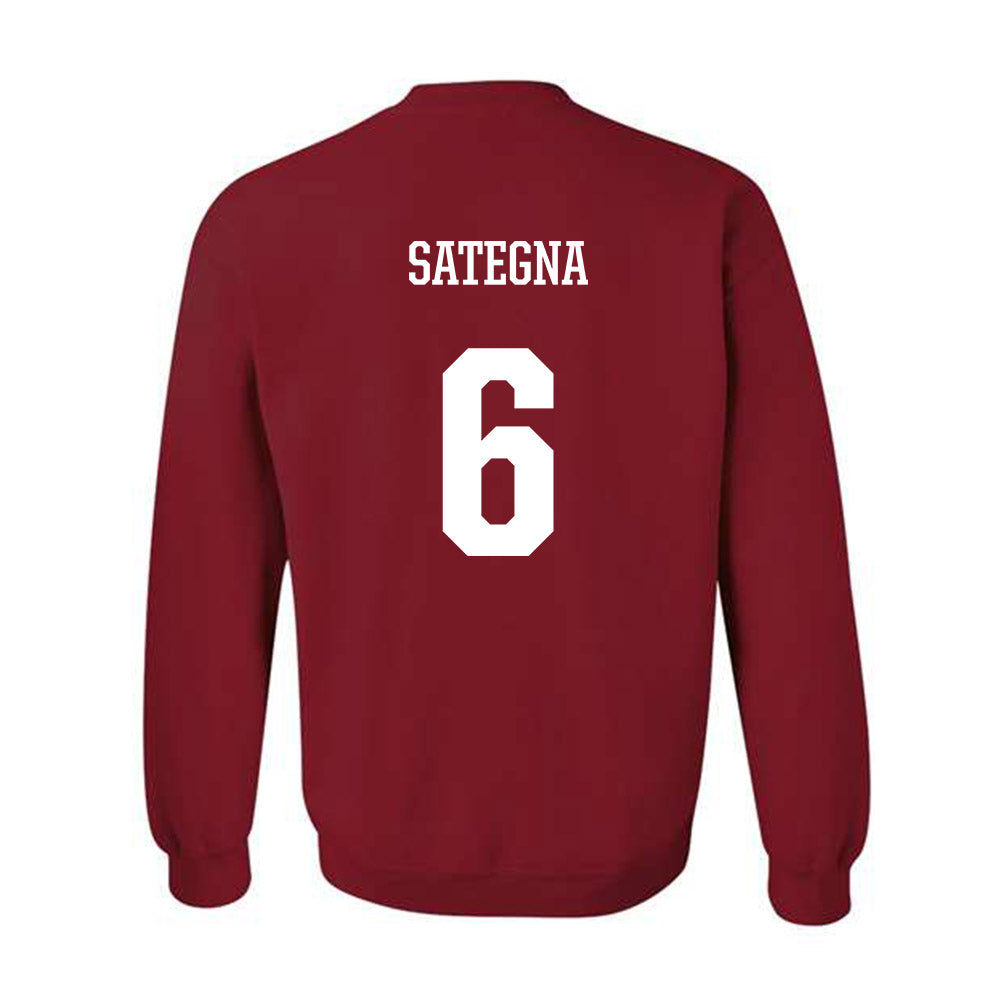 Arkansas - NCAA Football : Isaiah Sategna - Crewneck Sweatshirt