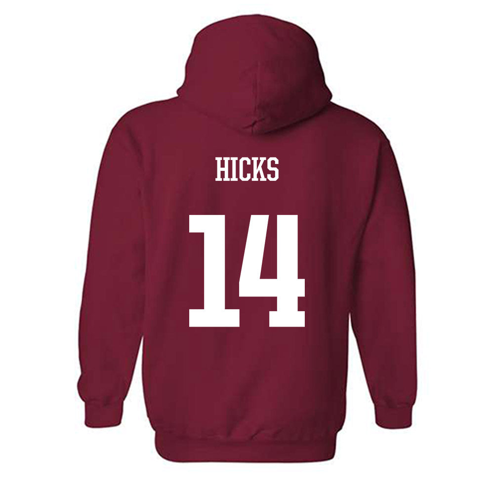Arkansas - NCAA Women's Volleyball : Rosana Hicks - Classic Shersey Hooded Sweatshirt-1