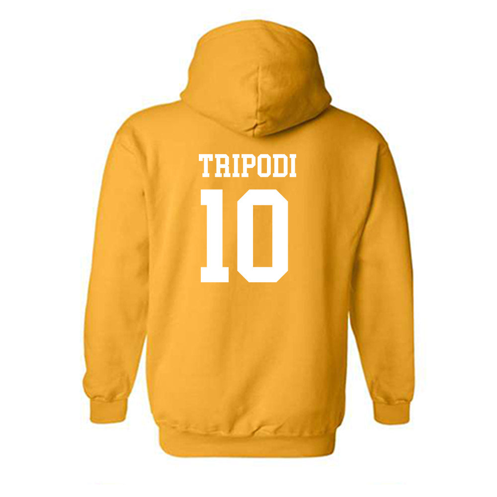 Towson - NCAA Women's Field Hockey : Gianna Tripodi - Classic Shersey Hooded Sweatshirt-1