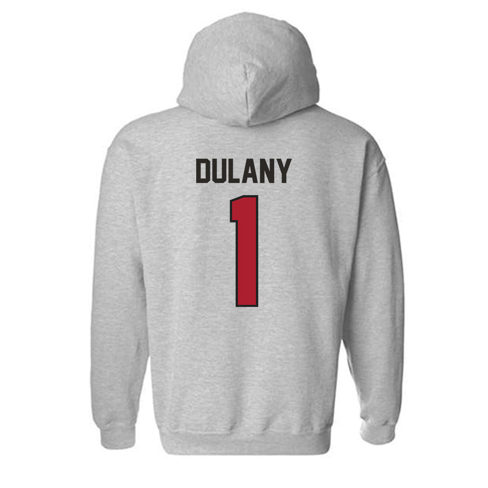 Nicholls State - NCAA Softball : Lexi Dulany - Classic Fashion Shersey Hooded Sweatshirt-1