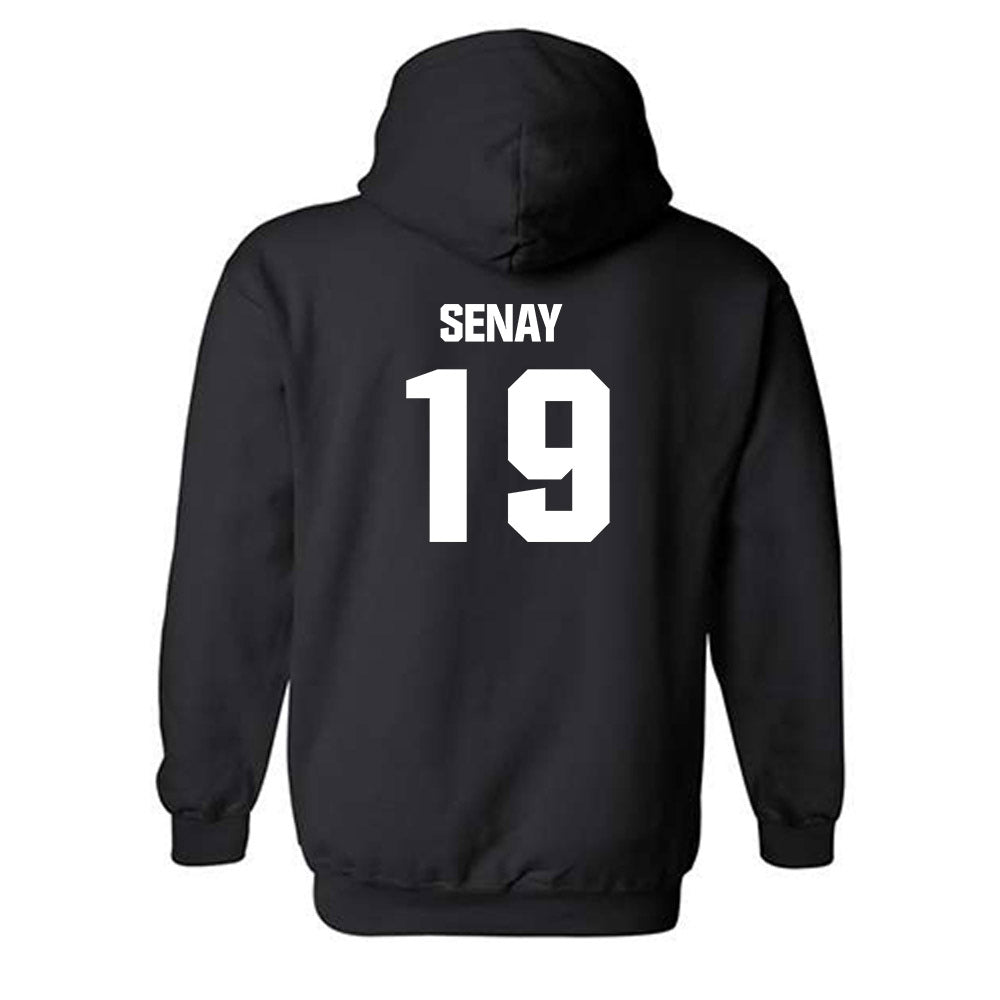 USF - NCAA Baseball : Michael Senay - Classic Shersey Hooded Sweatshirt-1