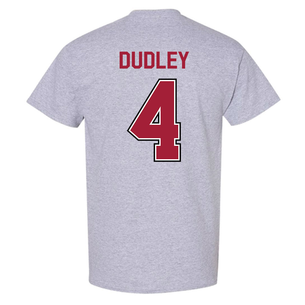 Arkansas - NCAA Women's Volleyball : Lily Dudley - Classic Fashion Shersey T-Shirt-1