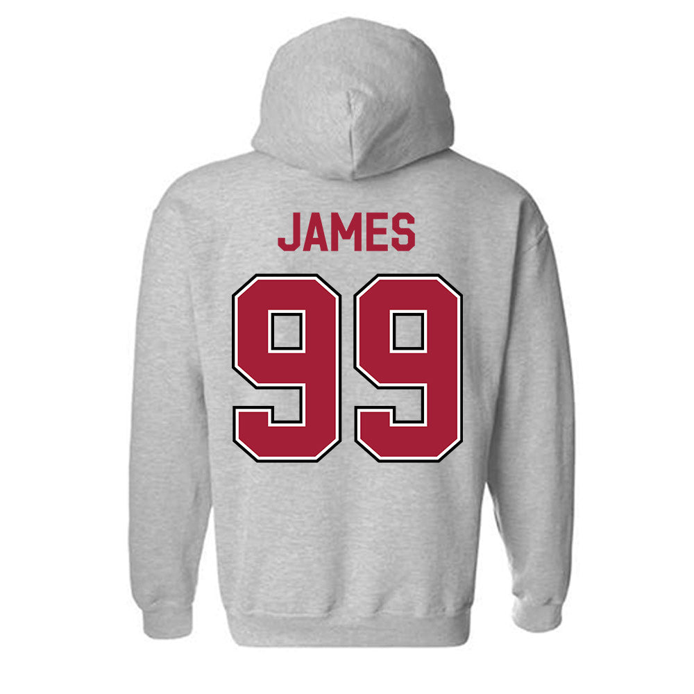 Arkansas - NCAA Football : Kaleb James - Classic Fashion Shersey Hooded Sweatshirt-1