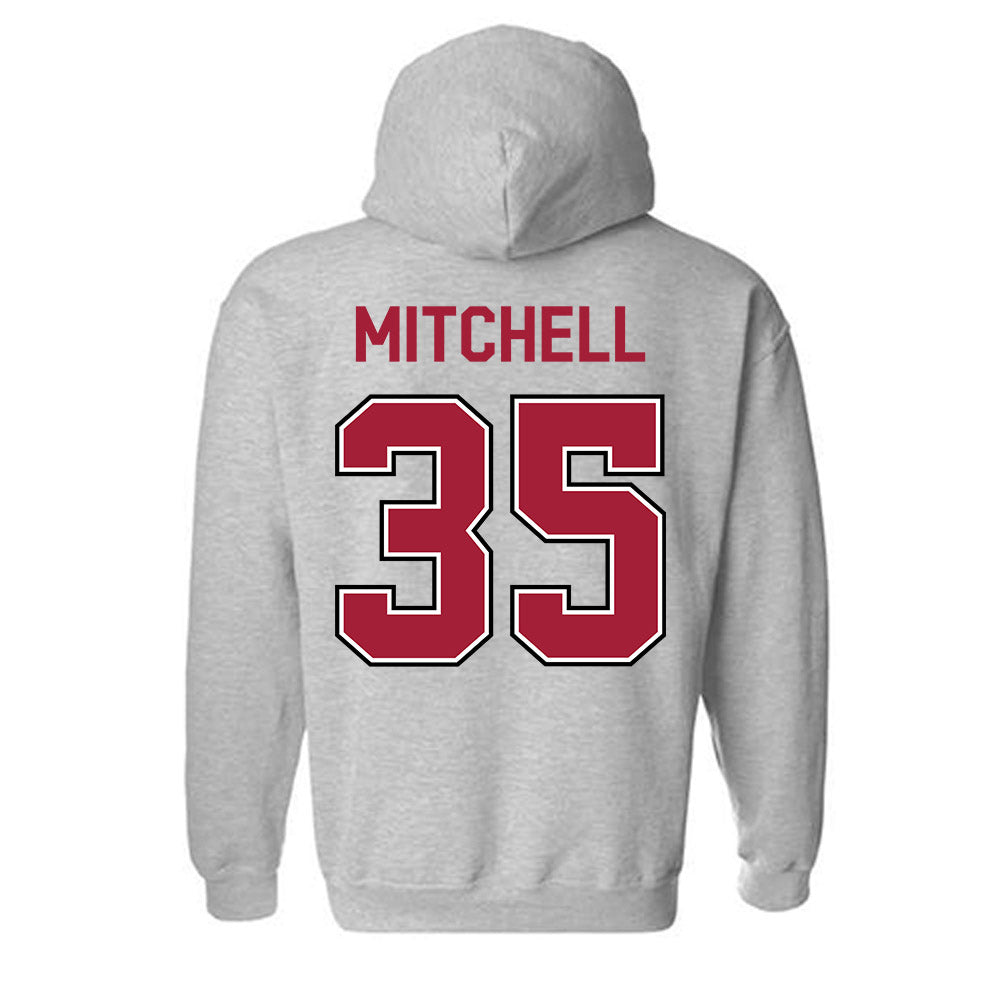 Arkansas - NCAA Baseball : Cayden Mitchell - Classic Fashion Shersey Hooded Sweatshirt-1