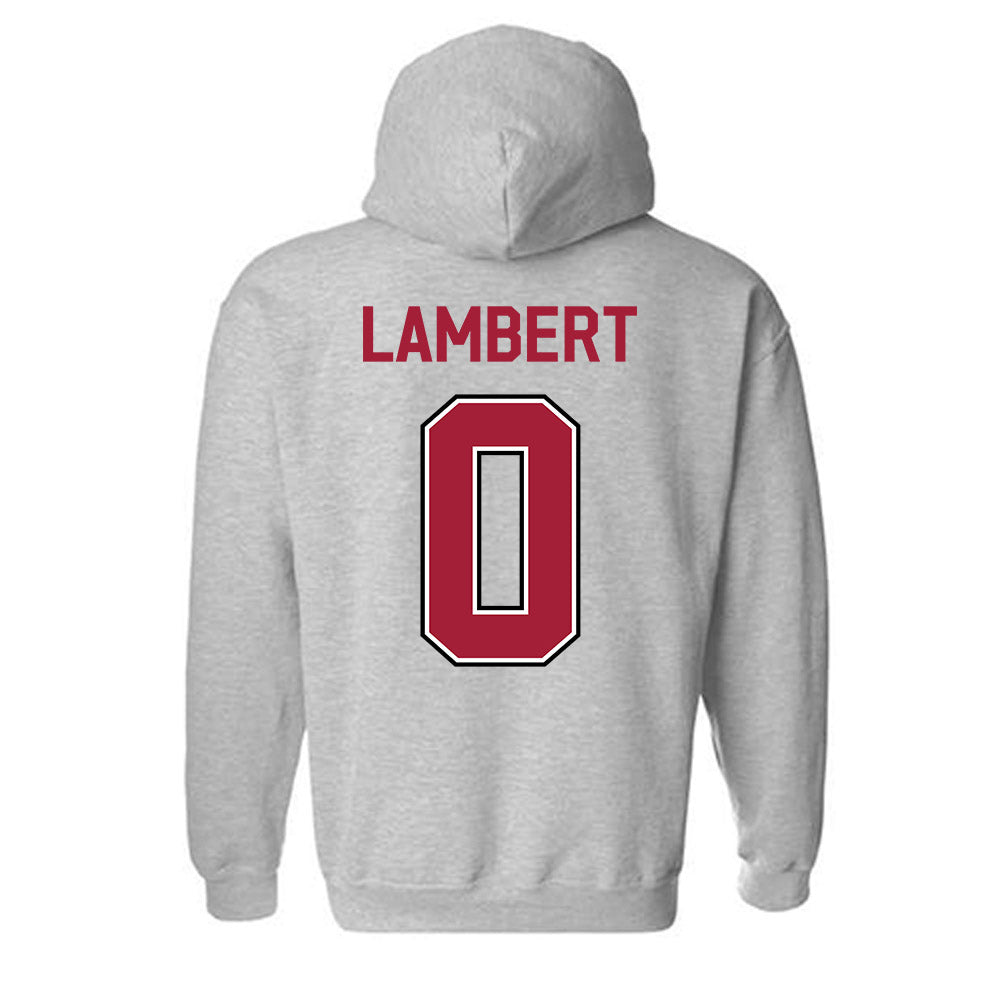 Arkansas - NCAA Women's Volleyball : Lolo Lambert - Classic Fashion Shersey Hooded Sweatshirt-1