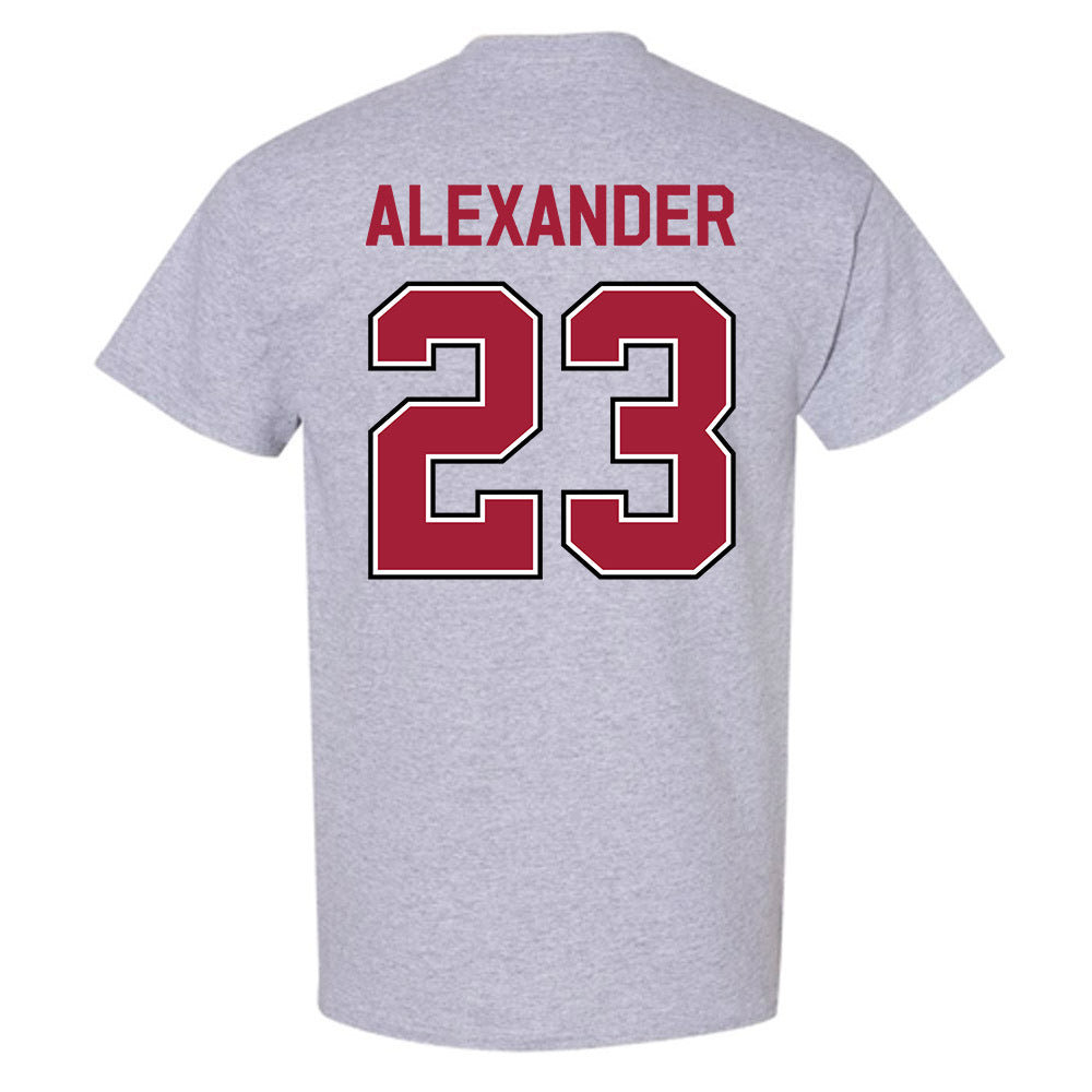 Arkansas - NCAA Women's Volleyball : Aleki Alexander - Classic Fashion Shersey T-Shirt-1