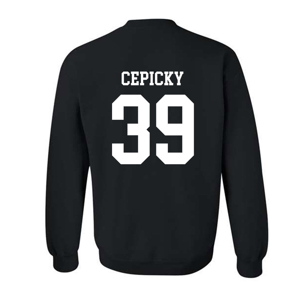Memphis - NCAA Football : Gabriel Cepicky - Classic Fashion Shersey Crewneck Sweatshirt-1