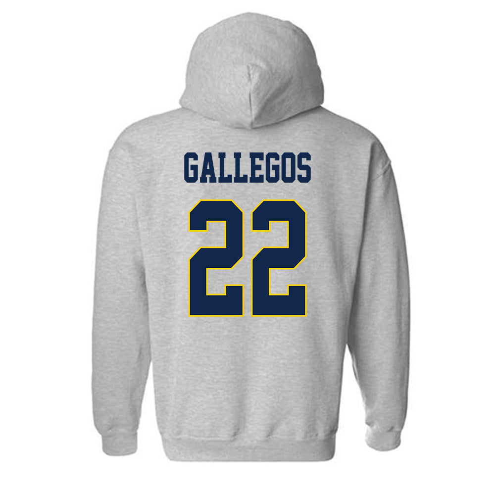 UCSD - NCAA Women's Basketball : Gracie Gallegos - Classic Fashion Shersey Hooded Sweatshirt-1