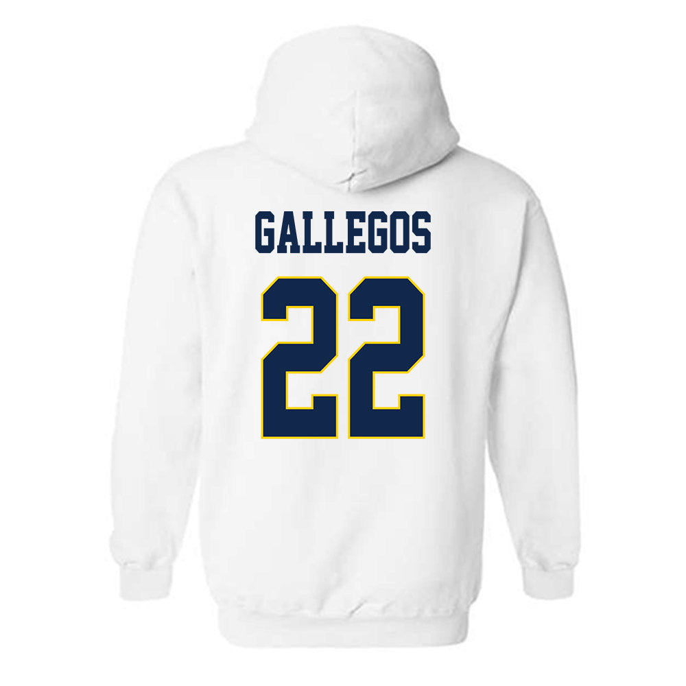 UCSD - NCAA Women's Basketball : Gracie Gallegos - Classic Fashion Shersey Hooded Sweatshirt-1