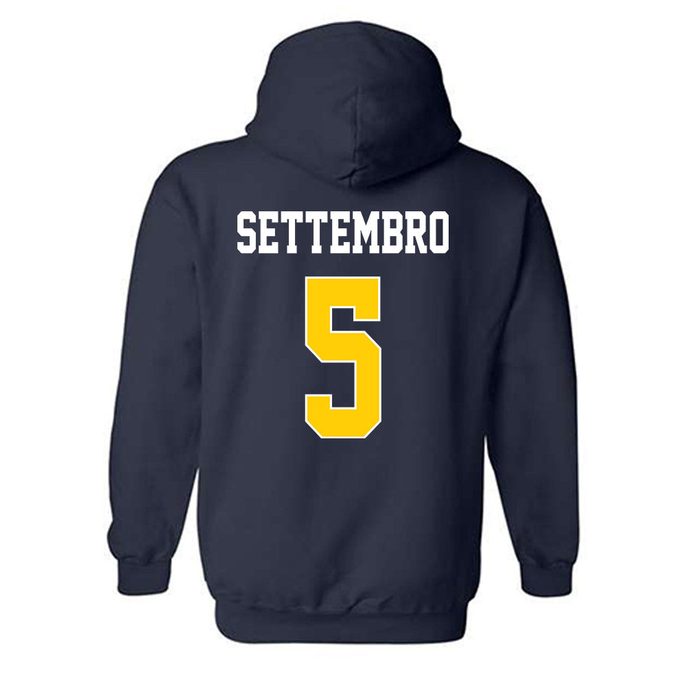 UCSD - NCAA Softball : Bella Settembro - Classic Shersey Hooded Sweatshirt-1