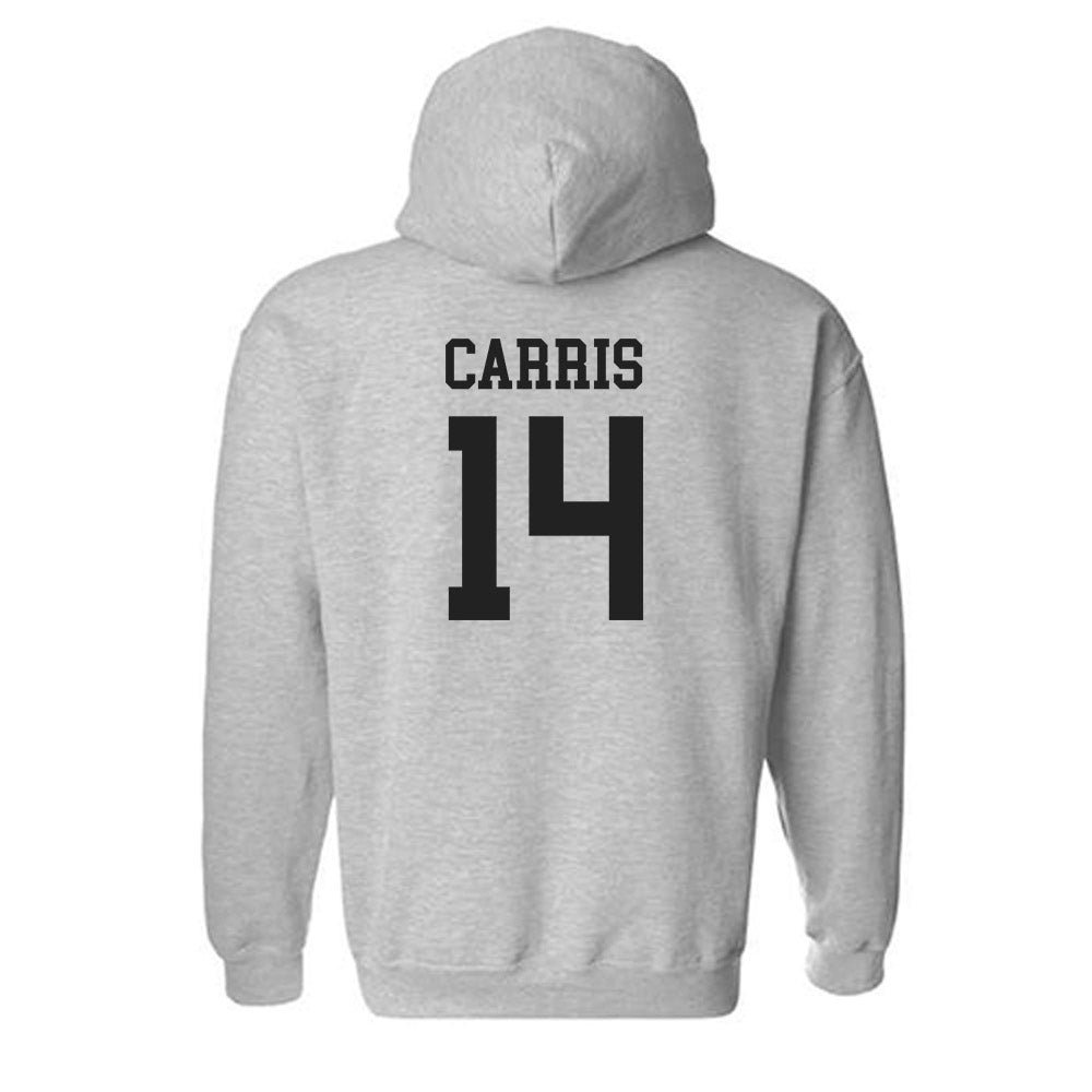 New Mexico - NCAA Baseball : Akili Carris - Classic Shersey Hooded Sweatshirt-1