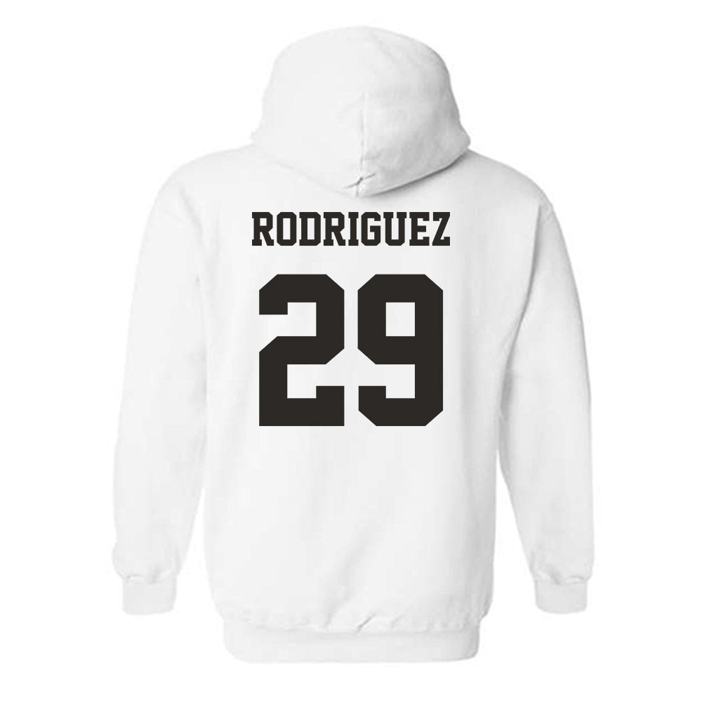 Louisiana - NCAA Baseball : Blaze Rodriguez - Classic Shersey Hooded Sweatshirt-1
