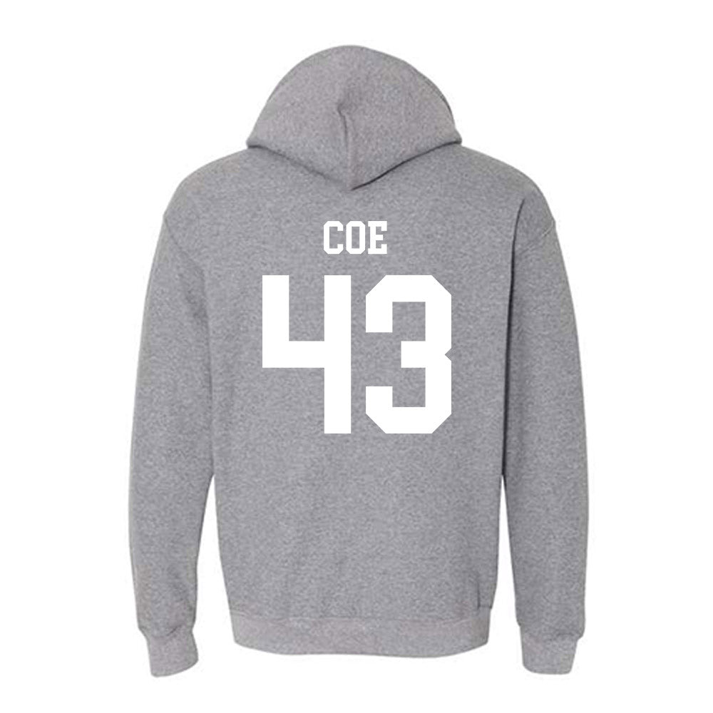 Georgia Southern - NCAA Baseball : Dawson Coe - Hooded Sweatshirt-1