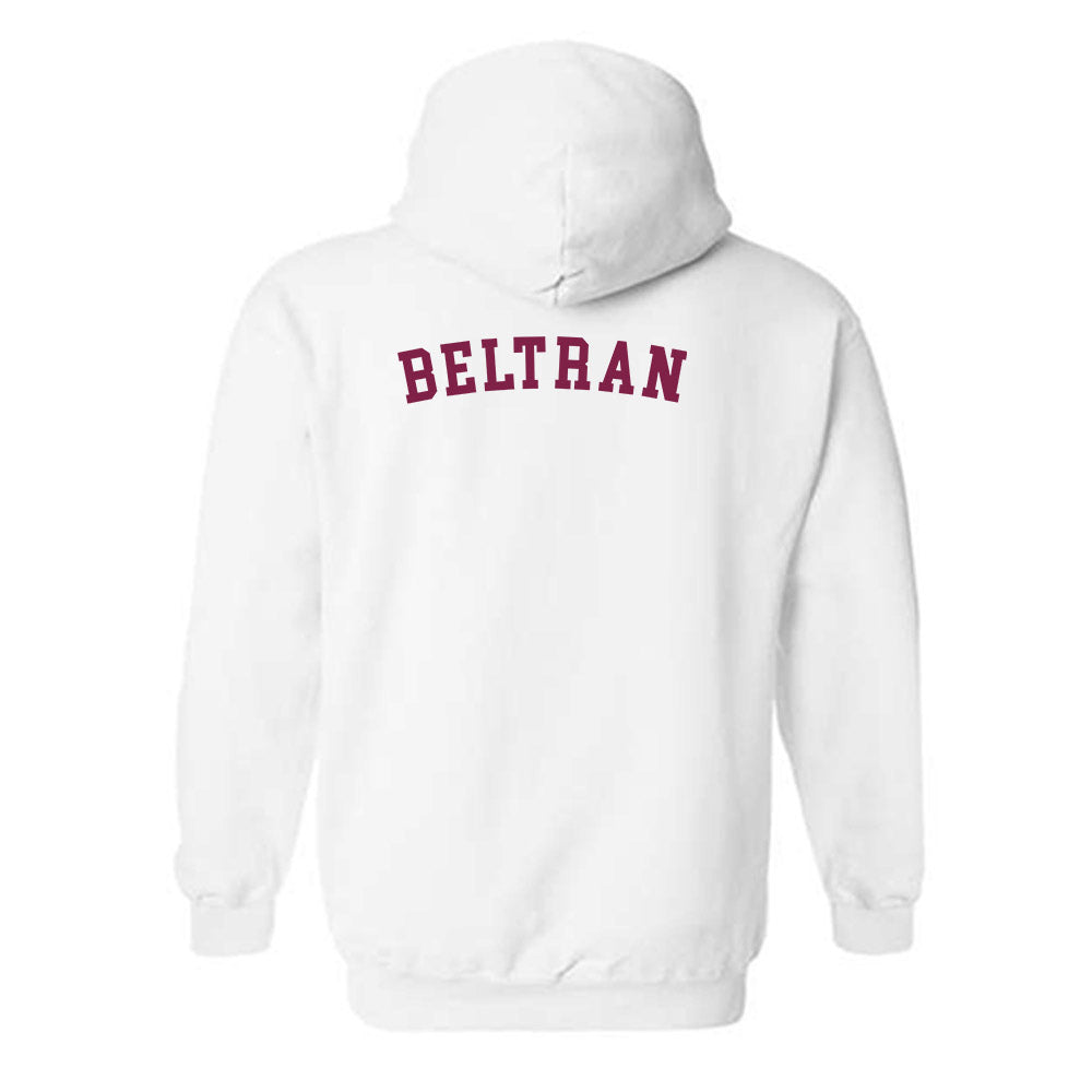 Arizona State - NCAA Women's Swimming & Diving : Ariel Beltran - Sports Shersey Hooded Sweatshirt