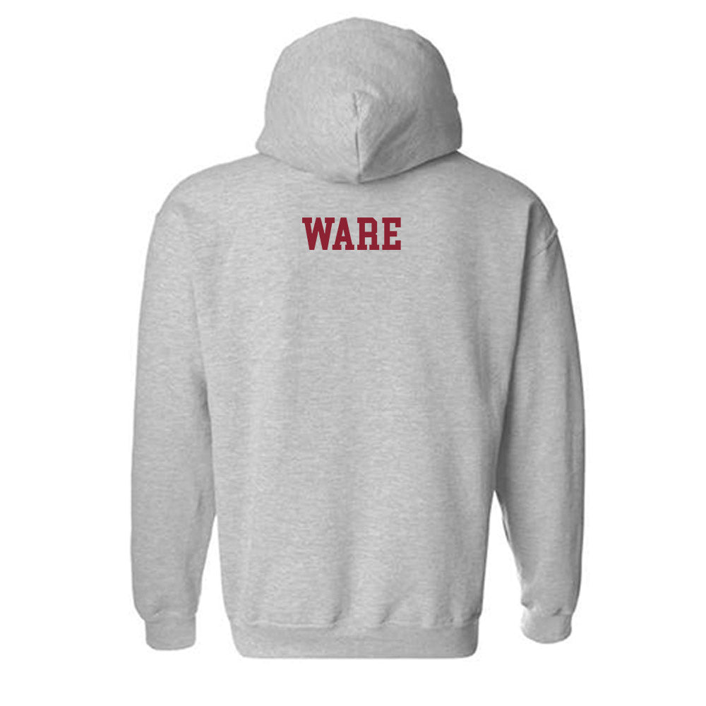 Troy - NCAA Women's Track & Field : Kristianna Ware - Generic Shersey Hooded Sweatshirt-1