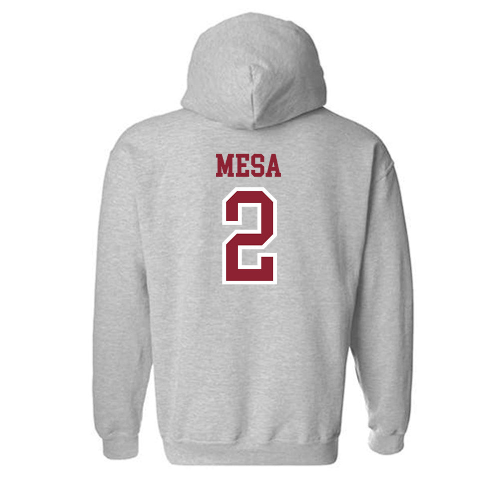Troy - NCAA Women's Volleyball : Jaci Mesa - Hooded Sweatshirt