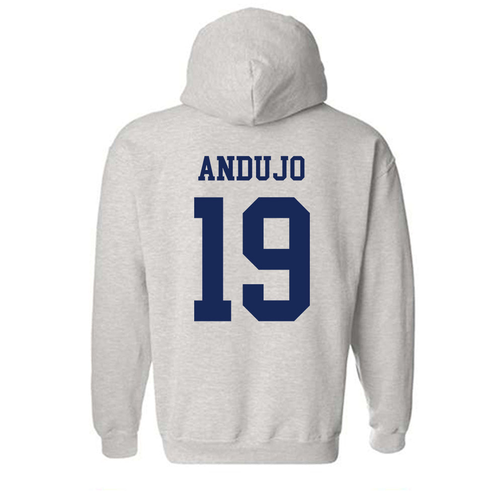 South Alabama - NCAA Softball : Frankie Andujo - Classic Fashion Shersey Hooded Sweatshirt-1