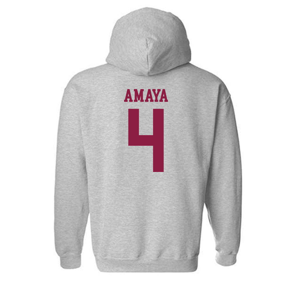 NMSU - NCAA Softball : Karyme Amaya - Classic Shersey Hooded Sweatshirt-1