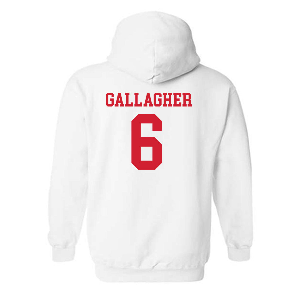 Fairfield - NCAA Men's Lacrosse : Brendan Gallagher - Classic Shersey Hooded Sweatshirt-1