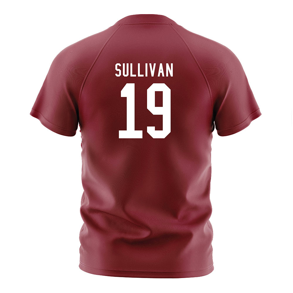 SCU - NCAA Men's Soccer : Andrew Sullivan - Red Soccer Jersey-1