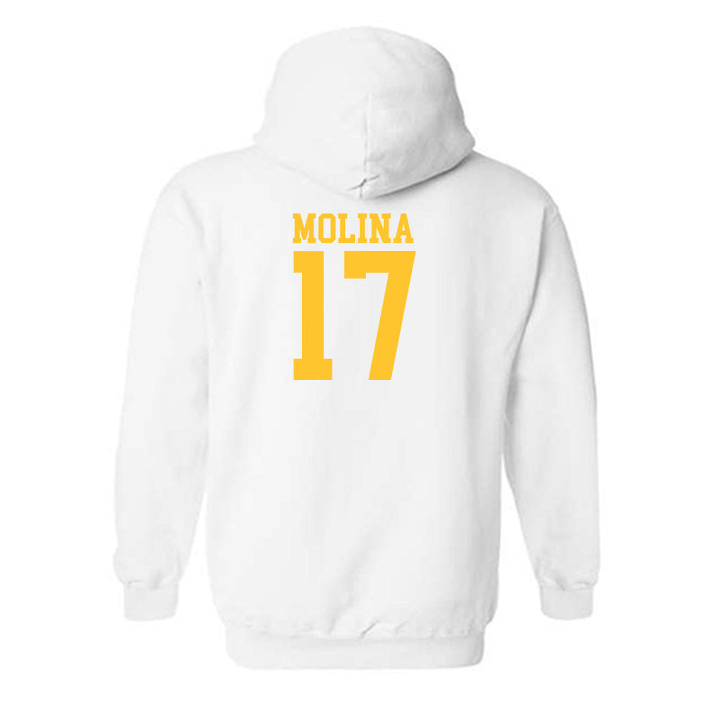 CSU Bakersfield - NCAA Softball : Jocelynn Molina - Classic Shersey Hooded Sweatshirt-1