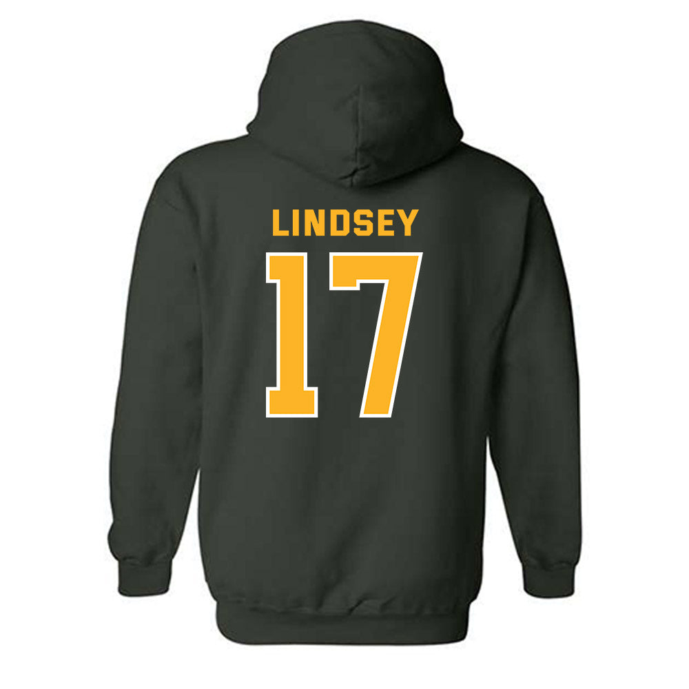 Baylor - NCAA Softball : Gigi Lindsey - Classic Fashion Shersey Hooded Sweatshirt-1