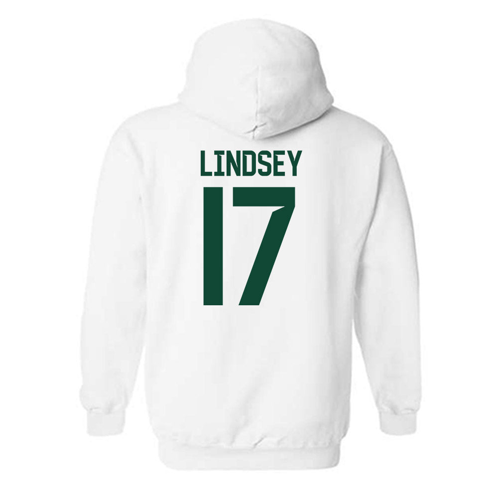 Baylor - NCAA Softball : Georgia Lindsey - Classic Shersey Hooded Sweatshirt