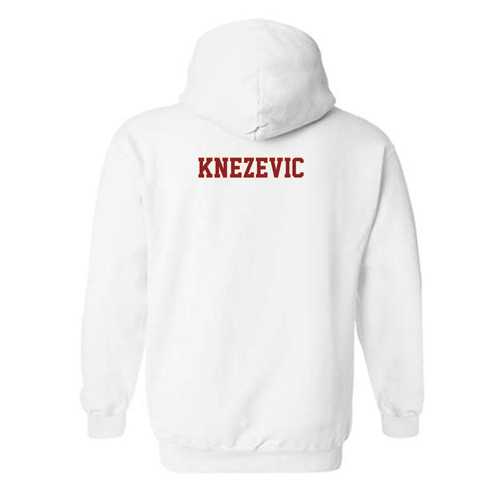 Minnesota - NCAA Women's Tennis : Nora Knezevic - Classic Fashion Shersey Hooded Sweatshirt-1