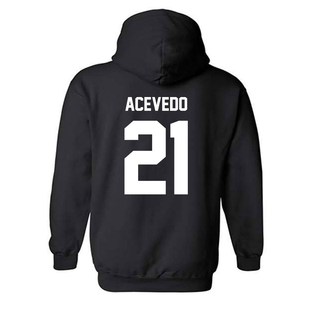 Minnesota - NCAA Women's Volleyball : Alex Acevedo - Classic Fashion Shersey Hooded Sweatshirt-1