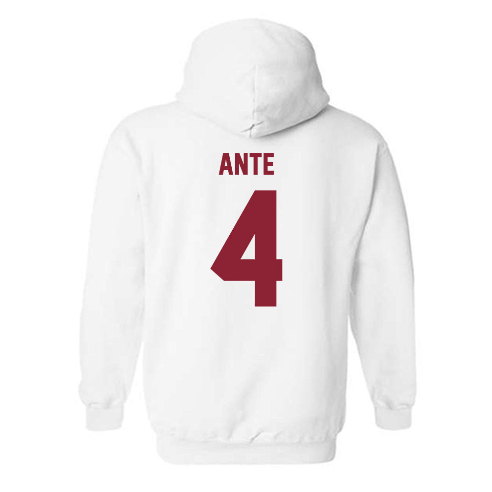 Minnesota - NCAA Women's Tennis : Jeselle Ante - Classic Shersey Hooded Sweatshirt-1
