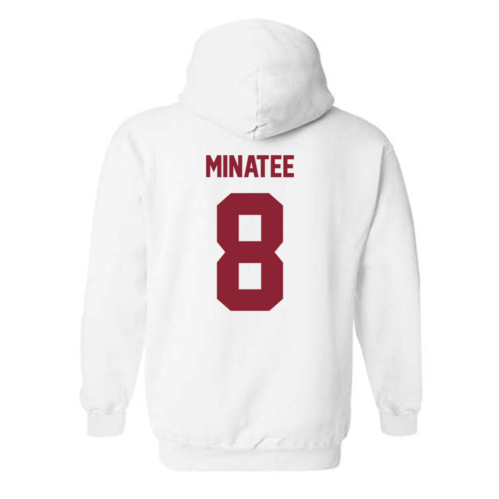 Minnesota - NCAA Women's Volleyball : Calissa Minatee - Classic Shersey Hooded Sweatshirt-1