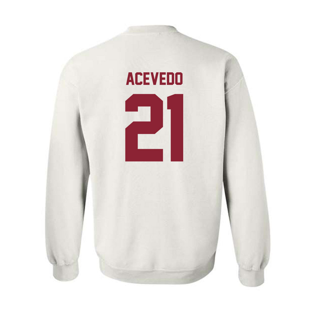 Minnesota - NCAA Women's Volleyball : Alex Acevedo - Classic Shersey Crewneck Sweatshirt-1
