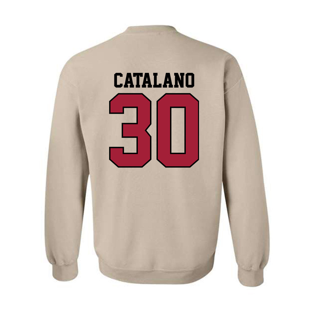 Oklahoma - NCAA Baseball : Michael Catalano - Sports Shersey Crewneck Sweatshirt-1