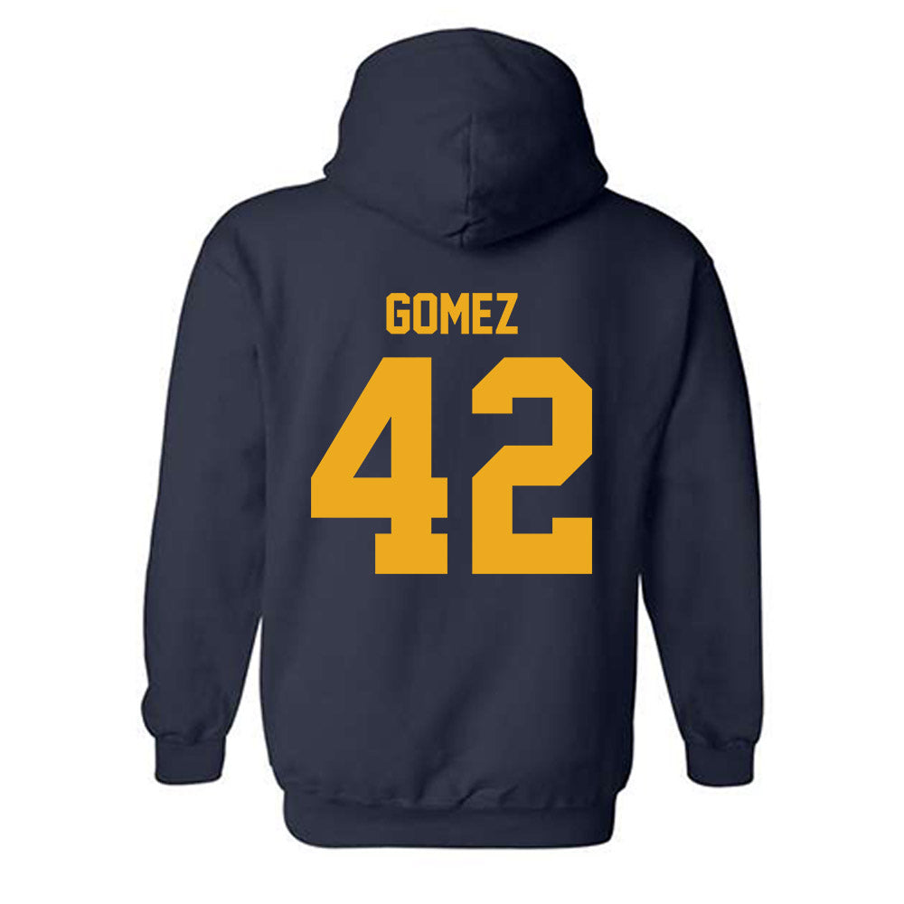 Canisius - NCAA Softball : Rosella Gomez - Classic Shersey Hooded Sweatshirt