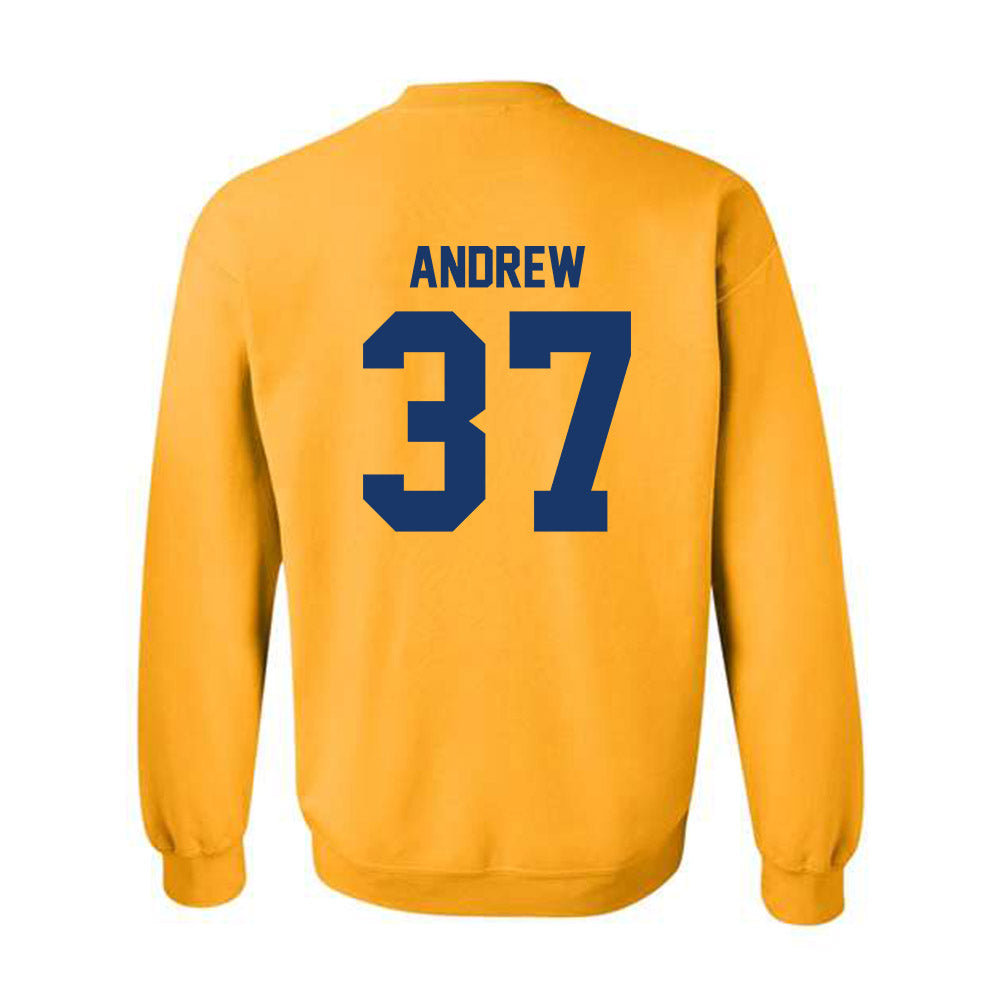 Canisius - NCAA Men's Ice Hockey : Hunter Andrew - Classic Shersey Crewneck Sweatshirt-1