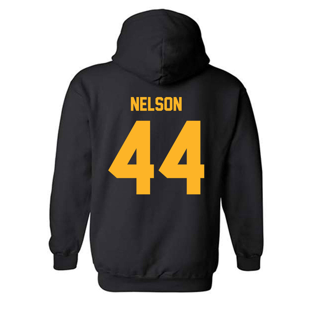 Pittsburgh - NCAA Men's Basketball : Jajuan Nelson - Classic Fashion Shersey Hooded Sweatshirt-1