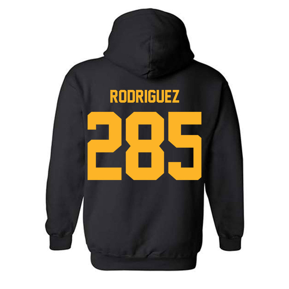 Pittsburgh - NCAA Wrestling : Caleb Rodriguez - Classic Fashion Shersey Hooded Sweatshirt-1