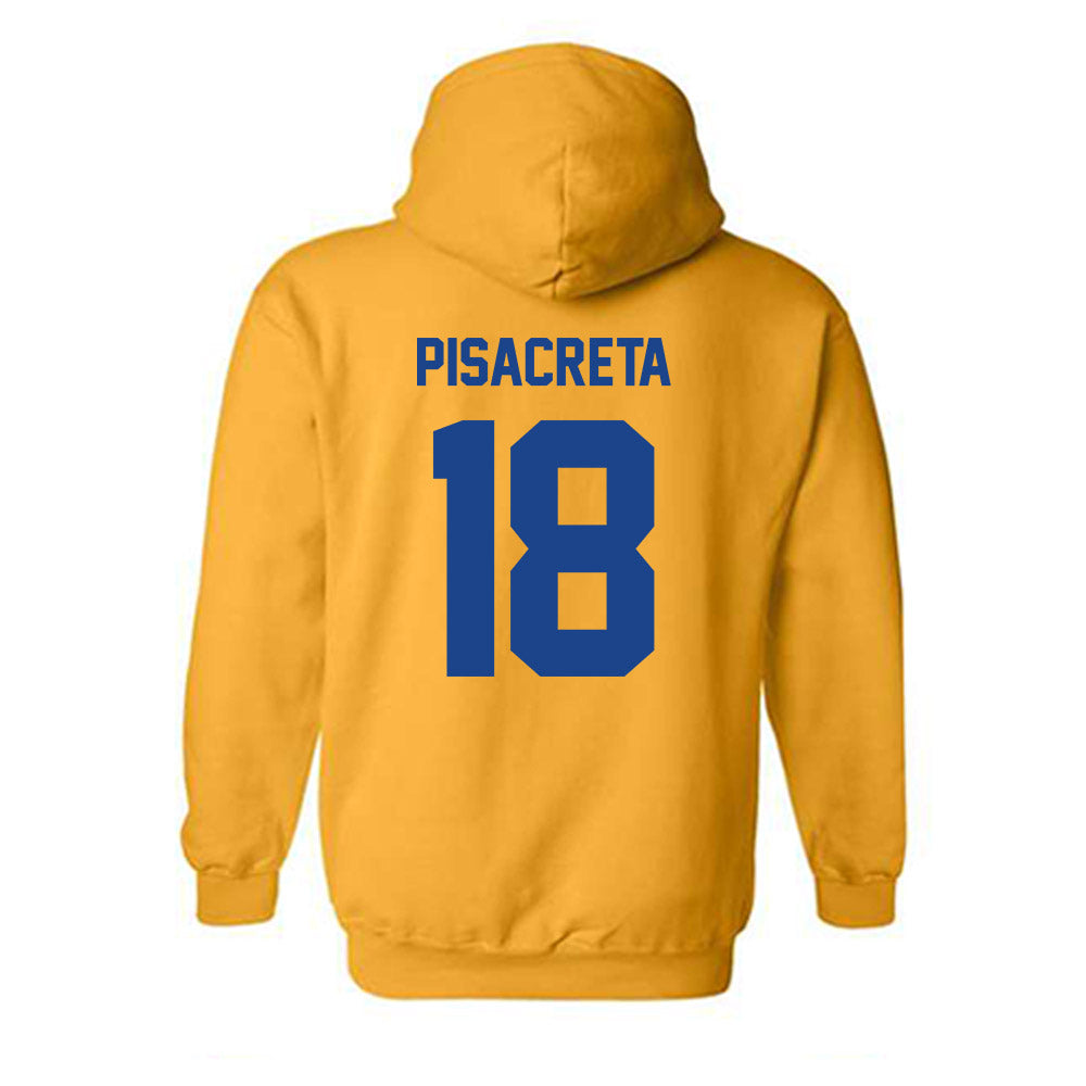 Pittsburgh - NCAA Baseball : Sebastian Pisacreta - Classic Shersey Hooded Sweatshirt-1