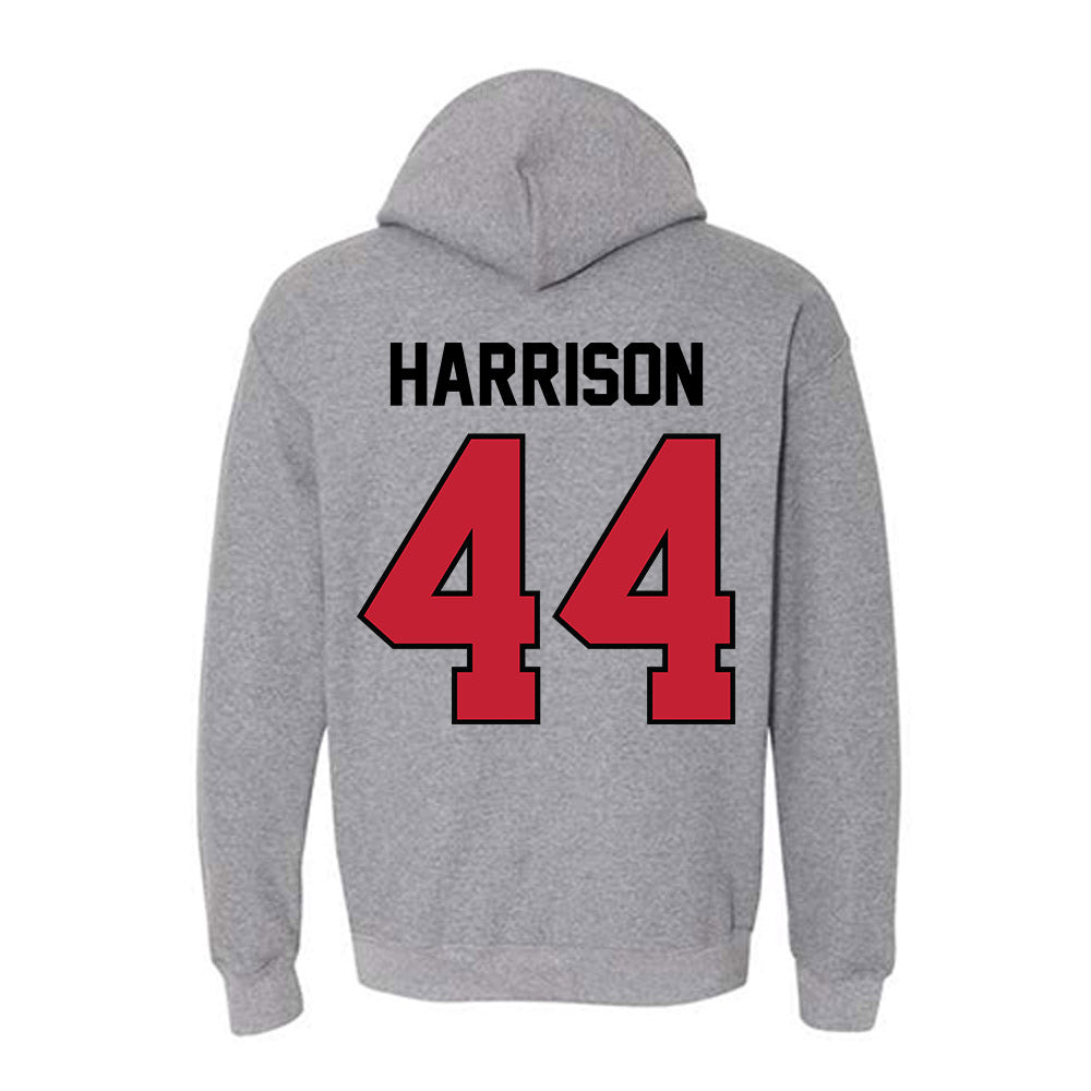 Georgia - NCAA Softball : Presley Harrison - Classic Shersey Hooded Sweatshirt-1