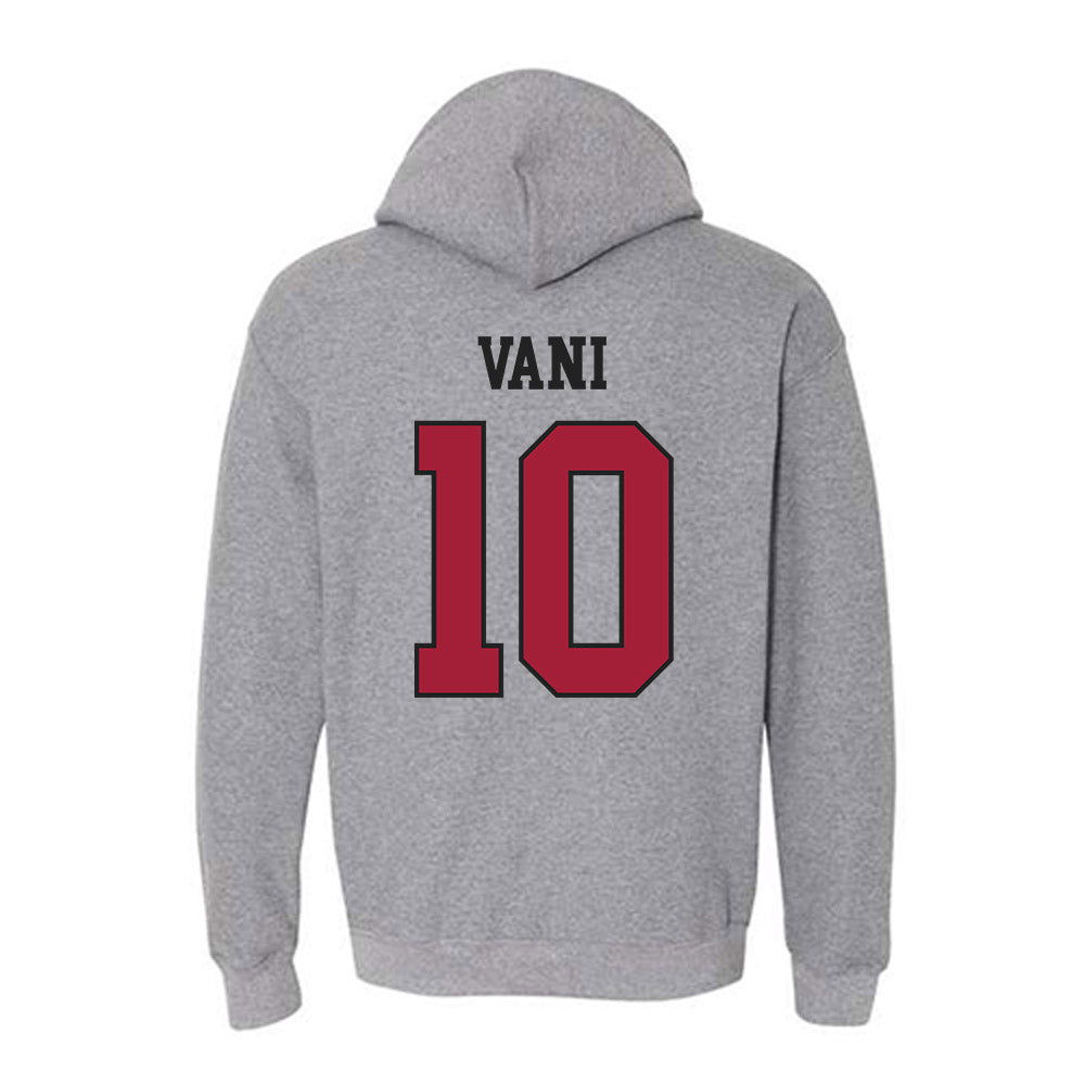 St. Joe's - NCAA Men's Soccer : Patrick Vani - Classic Shersey Hooded Sweatshirt