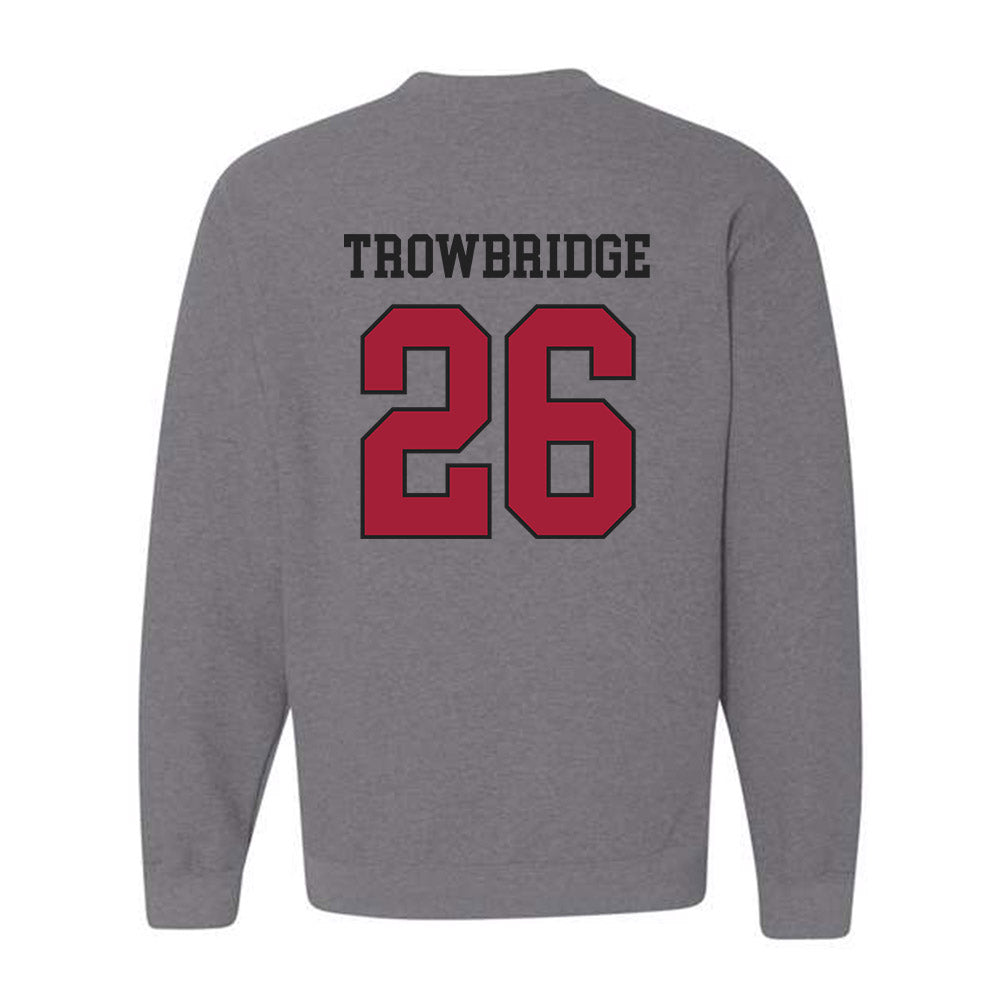 St. Joe's - NCAA Softball : Taylor Trowbridge - Crewneck Sweatshirt Classic Shersey