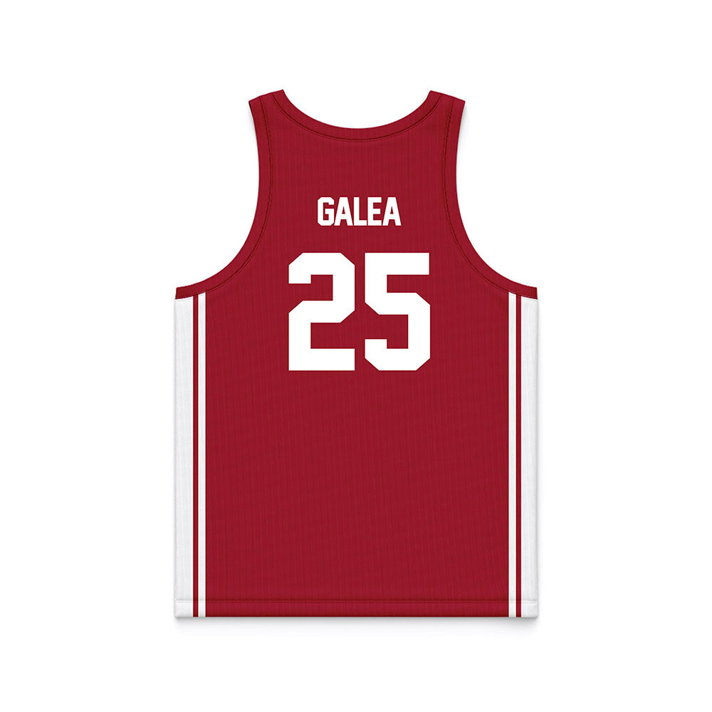 Arkansas - NCAA Women's Basketball : Danika Galea - Red Basketball Jersey-1
