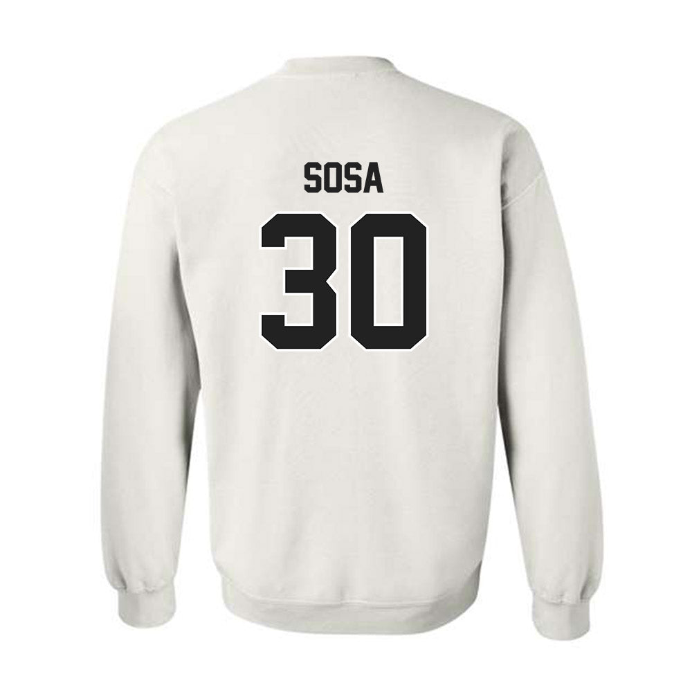 Purdue - NCAA Softball : Gabriela Sosa - Sports Shersey Crewneck Sweatshirt-1