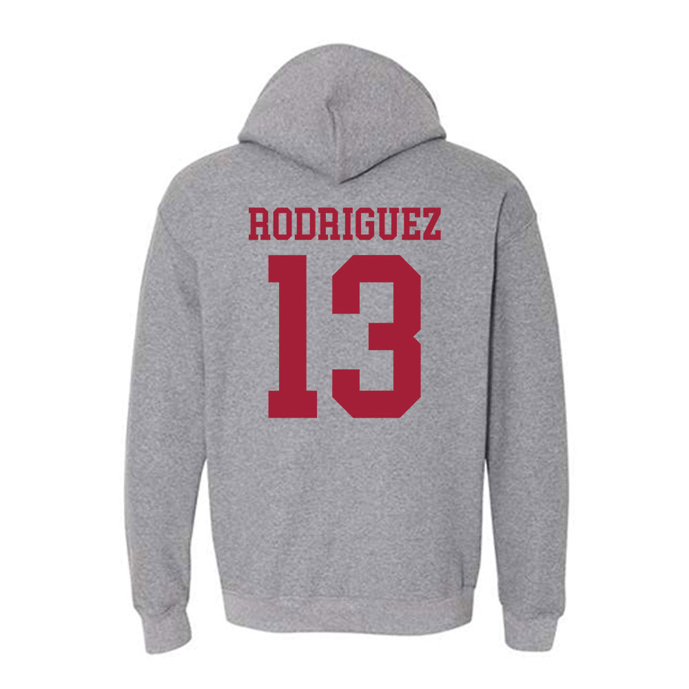 WSU - NCAA Men's Basketball : Adria Rodriguez - Classic Fashion Shersey Hooded Sweatshirt-1