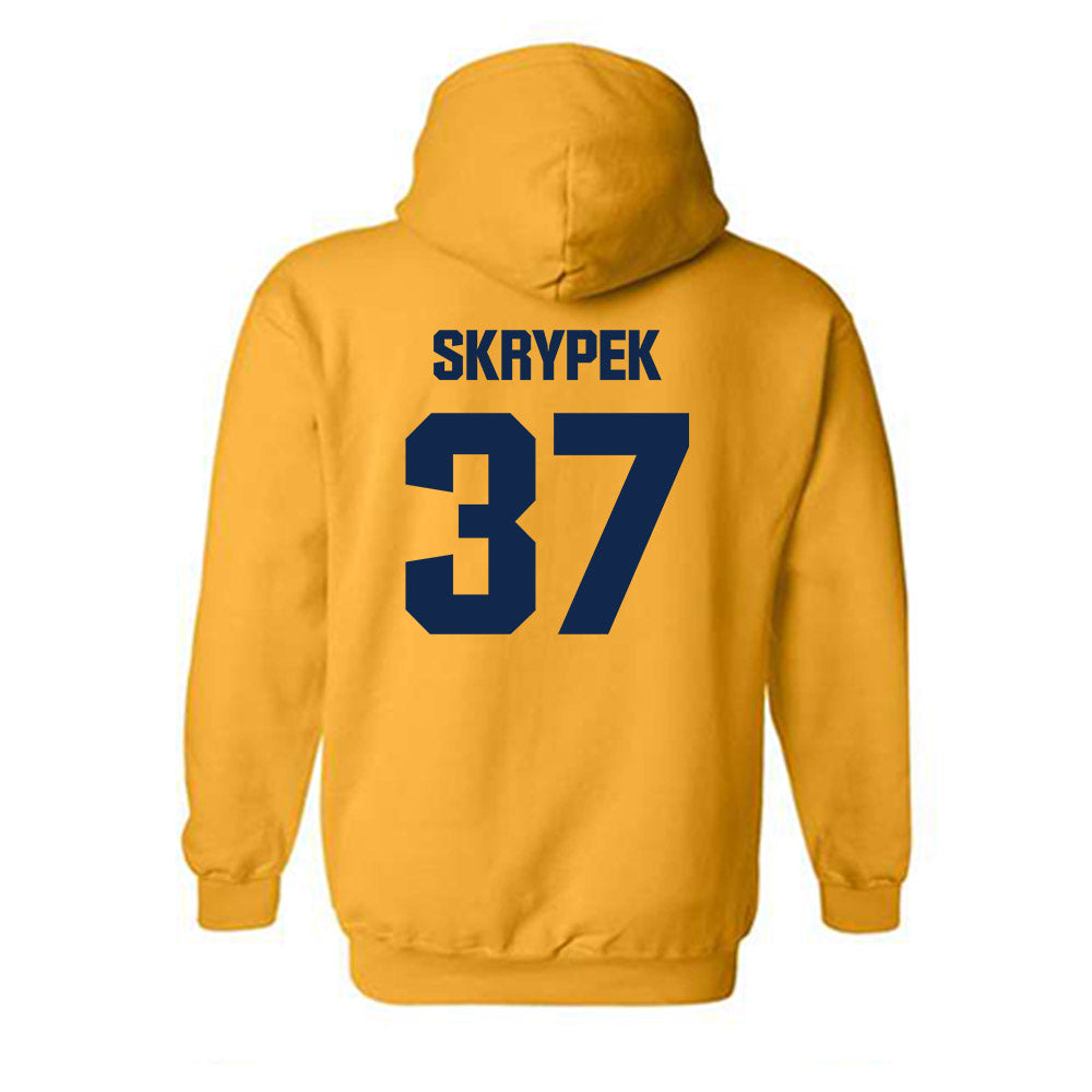 UW Eau Claire - NCAA Baseball : Aaron Skrypek - Classic Shersey Hooded Sweatshirt