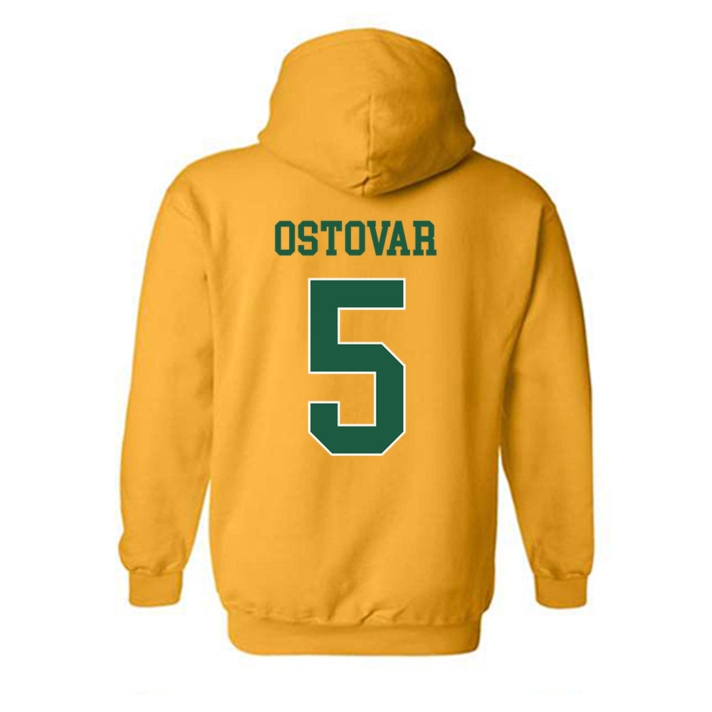 USFCA - NCAA Women's Volleyball : Kayla Ostovar - Classic Shersey Hooded Sweatshirt-1