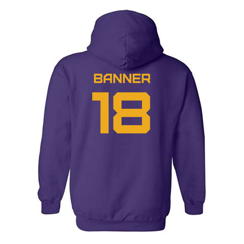 Albany - NCAA Baseball : Dylan Banner - Classic Shersey Hooded Sweatshirt