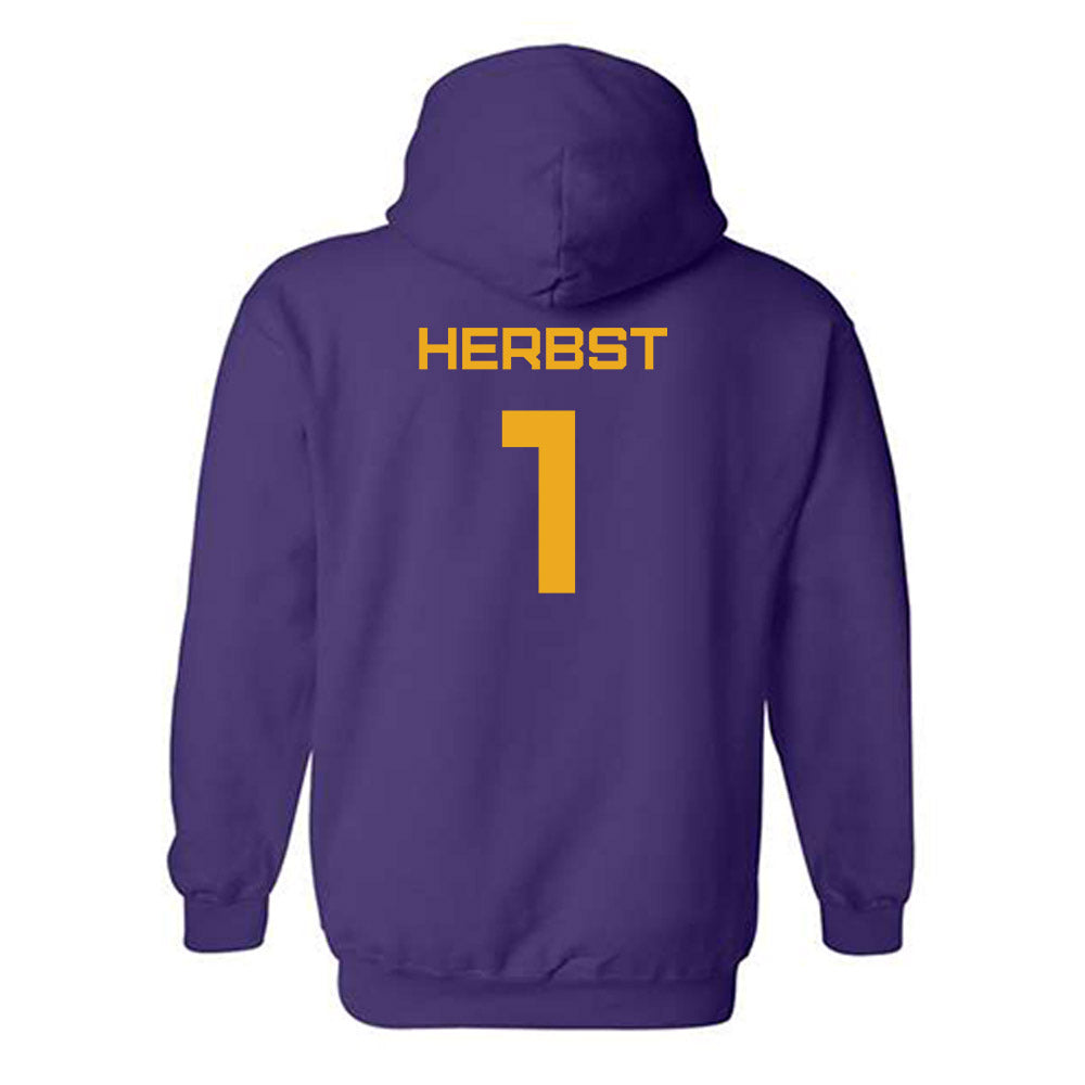 Albany - NCAA Baseball : Aaron Herbst - Classic Shersey Hooded Sweatshirt