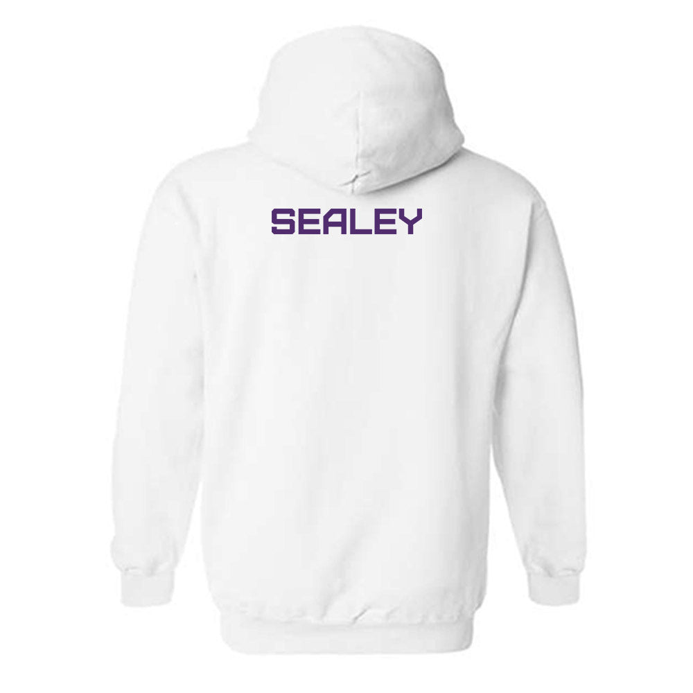 Albany - NCAA Men's Track & Field : Nicholos Sealey - Classic Shersey Hooded Sweatshirt-1