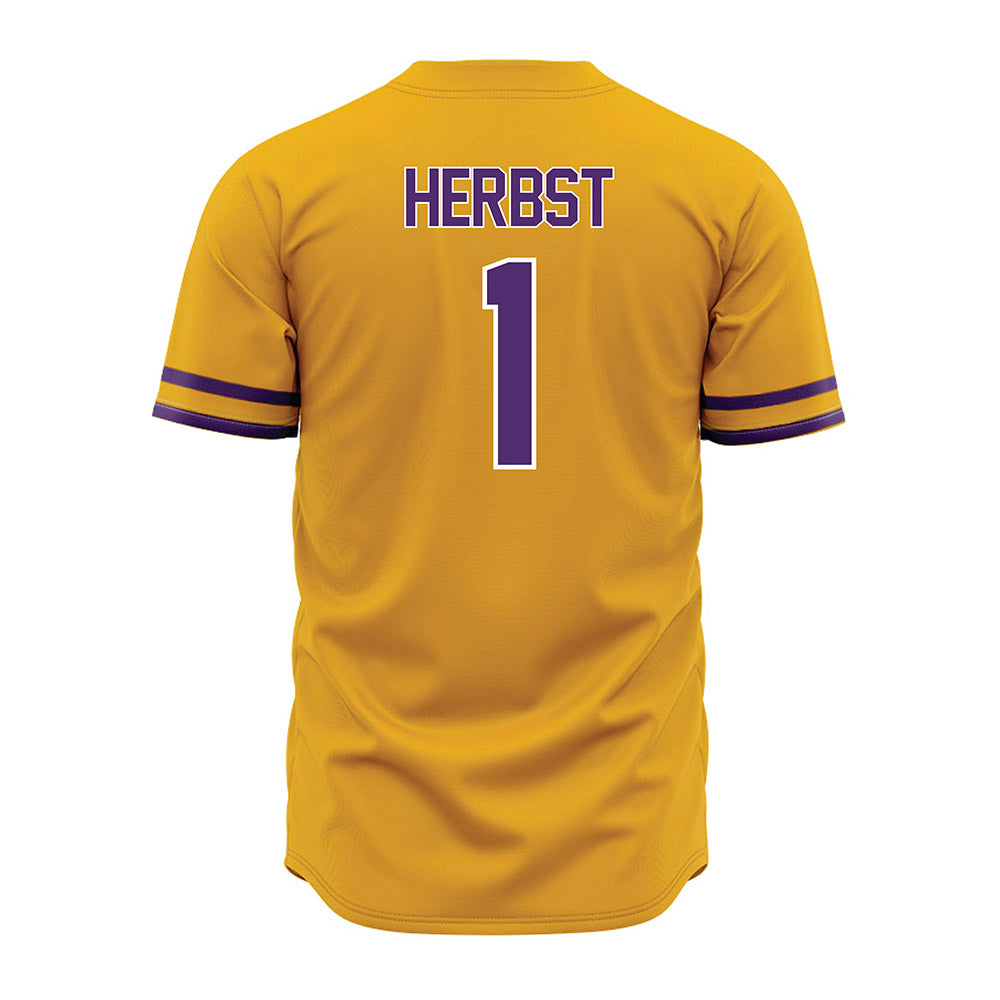 Albany - NCAA Baseball : Aaron Herbst - Gold Jersey
